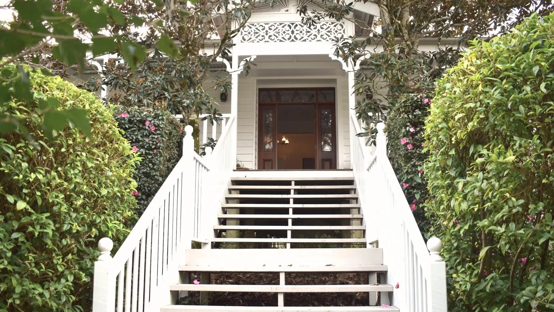 Maleny Homestead & Cottage